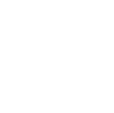 TALKING WALLS